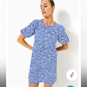 NWT Lily Pulitzer Rosen Dress! Size L